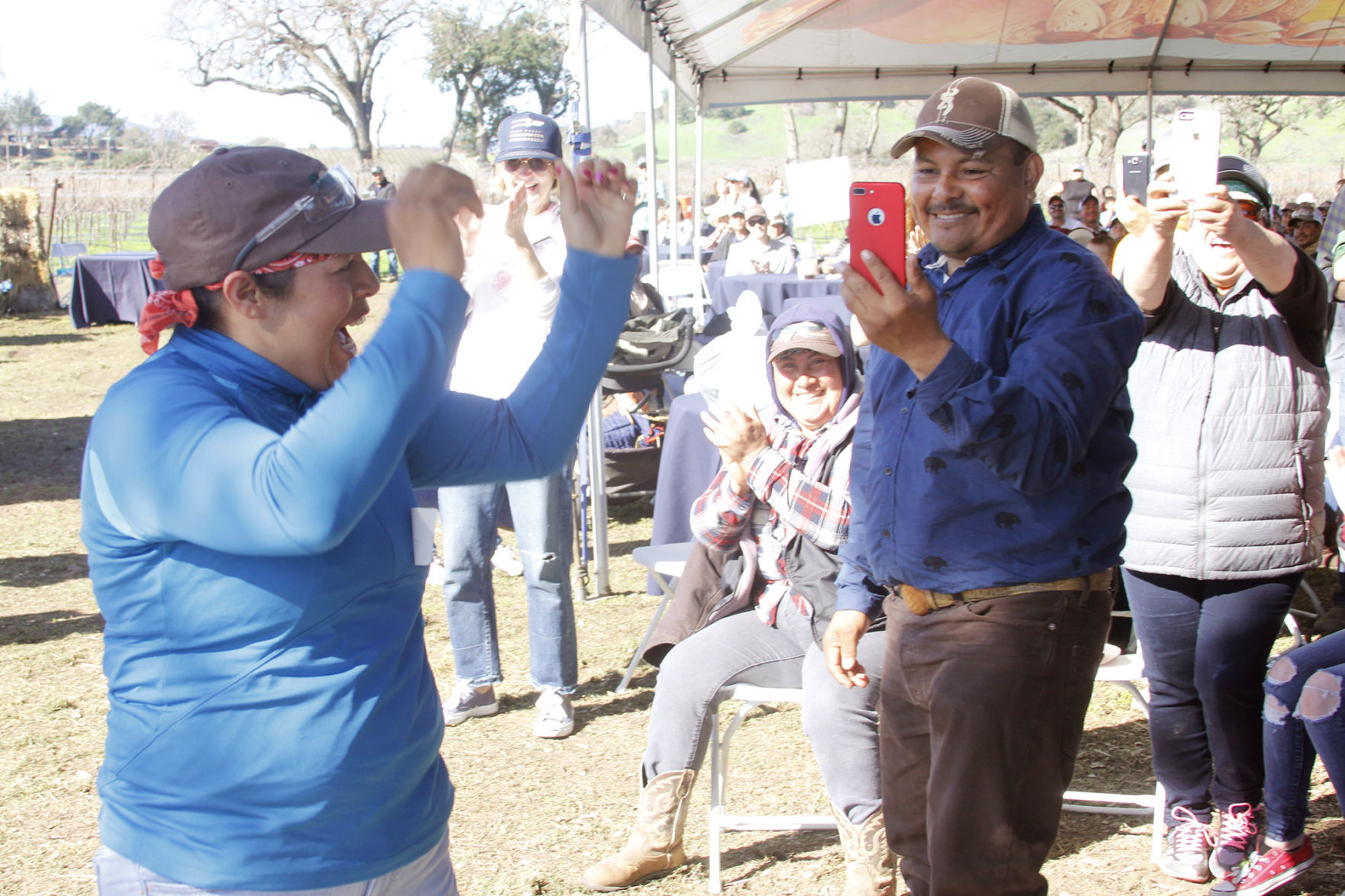 Napa County Pruning Contest